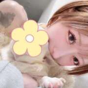 ヒメ日記 2026/02/28 02:36 投稿 ゆいか SAPPORO ばつぐんnet