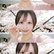 ヒメ日記 2026/03/22 06:16 投稿 ゆいか SAPPORO ばつぐんnet