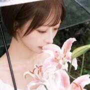 ヒメ日記 2026/04/12 06:16 投稿 ゆいか SAPPORO ばつぐんnet
