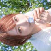 ヒメ日記 2026/04/28 06:46 投稿 ゆいか SAPPORO ばつぐんnet