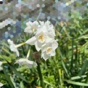 ヒメ日記 2026/03/23 11:28 投稿 さら(Sara) 出張メンズエステ RELAX【DIVAグループ】