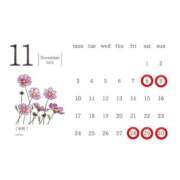 ヒメ日記 2025/11/06 15:35 投稿 永絆【トキ】 LOVEキタ兎我野店