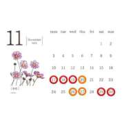 ヒメ日記 2025/11/16 12:23 投稿 永絆【トキ】 LOVEキタ兎我野店