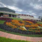 ヒメ日記 2025/10/31 18:18 投稿 ゆの シャロン横浜