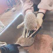 ヒメ日記 2025/10/26 22:00 投稿 もも 海物語