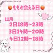 ヒメ日記 2025/10/31 18:00 投稿 もも 海物語