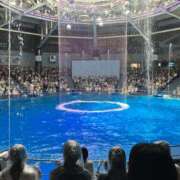 ヒメ日記 2025/11/06 07:00 投稿 もも 海物語