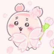 ヒメ日記 2026/07/17 07:00 投稿 もも 海物語
