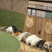 ヒメ日記 2025/10/31 17:51 投稿 らん ビギナーズ神戸