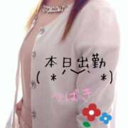 ヒメ日記 2025/11/17 07:22 投稿 つばき CLASSY（クラッシー）.神戸