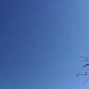 ヒメ日記 2025/11/22 09:50 投稿 つばき CLASSY（クラッシー）.神戸