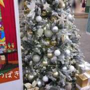 ヒメ日記 2025/11/22 12:03 投稿 つばき CLASSY（クラッシー）.神戸