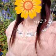 ヒメ日記 2025/11/26 08:50 投稿 つばき CLASSY（クラッシー）.神戸