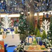 ヒメ日記 2025/11/26 12:57 投稿 つばき CLASSY（クラッシー）.神戸