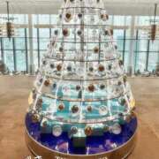 ヒメ日記 2025/12/03 20:45 投稿 つばき CLASSY（クラッシー）.神戸