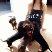 ヒメ日記 2025/12/13 08:50 投稿 つばき CLASSY（クラッシー）.神戸