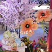 ヒメ日記 2026/03/13 16:30 投稿 つばき CLASSY（クラッシー）.神戸