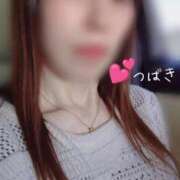 ヒメ日記 2026/03/14 08:41 投稿 つばき CLASSY（クラッシー）.神戸