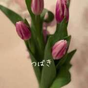 ヒメ日記 2026/03/17 12:31 投稿 つばき CLASSY（クラッシー）.神戸