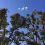 ヒメ日記 2026/03/21 09:15 投稿 つばき CLASSY（クラッシー）.神戸