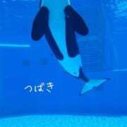 ヒメ日記 2026/03/22 14:02 投稿 つばき CLASSY（クラッシー）.神戸