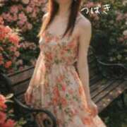 ヒメ日記 2026/03/27 08:01 投稿 つばき CLASSY（クラッシー）.神戸