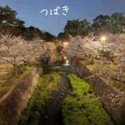 ヒメ日記 2026/04/03 19:30 投稿 つばき CLASSY（クラッシー）.神戸