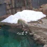 ヒメ日記 2026/04/05 22:14 投稿 つばき CLASSY（クラッシー）.神戸