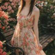 ヒメ日記 2026/04/12 10:11 投稿 つばき CLASSY（クラッシー）.神戸