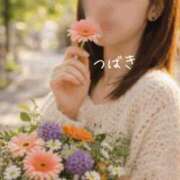 ヒメ日記 2026/04/15 09:08 投稿 つばき CLASSY（クラッシー）.神戸