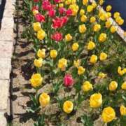 ヒメ日記 2026/04/18 10:05 投稿 つばき CLASSY（クラッシー）.神戸