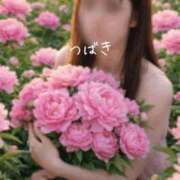 ヒメ日記 2026/04/19 09:46 投稿 つばき CLASSY（クラッシー）.神戸