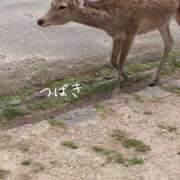 ヒメ日記 2026/04/19 21:05 投稿 つばき CLASSY（クラッシー）.神戸