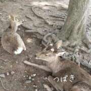 ヒメ日記 2026/05/24 10:01 投稿 つばき CLASSY（クラッシー）.神戸