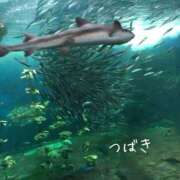 ヒメ日記 2026/07/21 09:34 投稿 つばき CLASSY（クラッシー）.神戸
