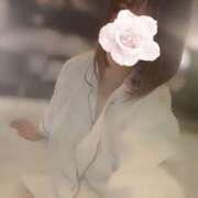 ヒメ日記 2025/12/31 01:49 投稿 佐倉 れい こあくまな熟女たち 広島店（KOAKUMAグループ）