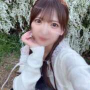 ヒメ日記 2026/03/21 12:26 投稿 かずは ジャパンクラブ富士