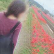 ヒメ日記 2025/10/27 20:02 投稿 るり 涼泉（りょうせん）