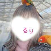 ヒメ日記 2026/01/05 22:31 投稿 るり 涼泉（りょうせん）