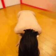 るり いまからお伺いいたします🕊️☘️ どきどきです💫 涼泉（りょうせん）