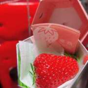 ヒメ日記 2026/03/17 15:35 投稿 るり 涼泉（りょうせん）