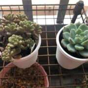 ヒメ日記 2025/10/20 07:37 投稿 すず 即アポ奥さん〜名古屋店〜