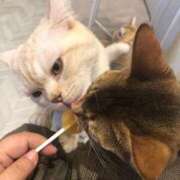 ヒメ日記 2025/10/30 01:11 投稿 すず 即アポ奥さん〜名古屋店〜