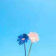 ヒメ日記 2025/11/01 21:51 投稿 すず 即アポ奥さん〜名古屋店〜