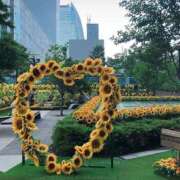 ヒメ日記 2025/11/06 20:29 投稿 すず 即アポ奥さん〜名古屋店〜