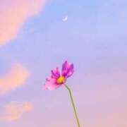 ヒメ日記 2025/11/21 21:52 投稿 すず 即アポ奥さん〜名古屋店〜