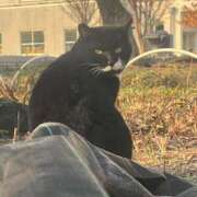 ヒメ日記 2026/02/16 22:41 投稿 すず 即アポ奥さん〜名古屋店〜