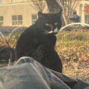 ヒメ日記 2026/02/18 05:51 投稿 すず 即アポ奥さん〜名古屋店〜