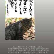 ヒメ日記 2026/03/10 02:01 投稿 すず 即アポ奥さん〜名古屋店〜