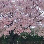 ヒメ日記 2026/03/10 02:21 投稿 すず 即アポ奥さん〜名古屋店〜